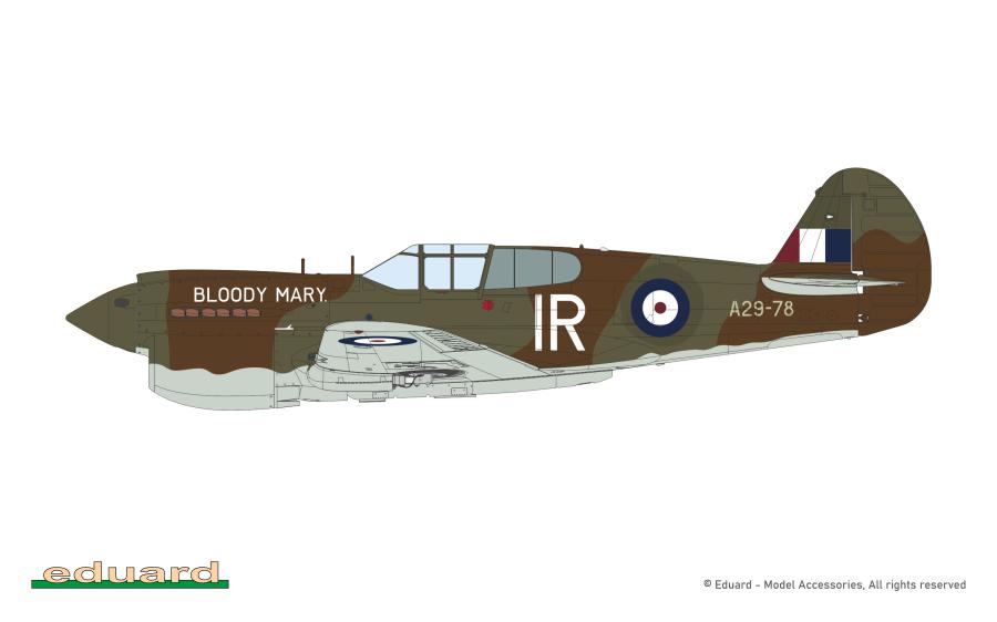 Eduard 1/48 Pacific Star P-40E Warhawk Dual Combo